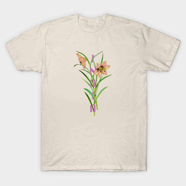 India Vintage Botanical Illustration T-Shirt by Pico Originals